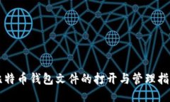 比特币钱包文件的打开与