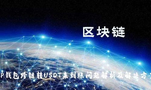 TP钱包跨链转USDT未到账问题解析及解决方案