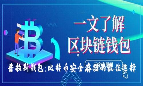 普拉斯钱包：比特币安全存储的最佳选择