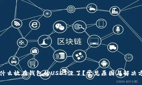 为什么放在钱包的USDT没了？常见原因与解决方案