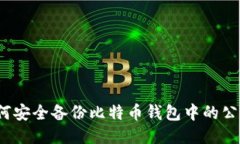 如何安全备份比特币钱包中的公钥？